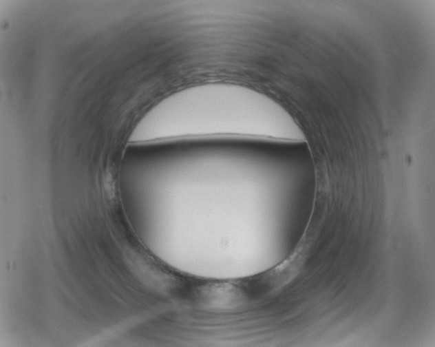 X0000080730086200612150914