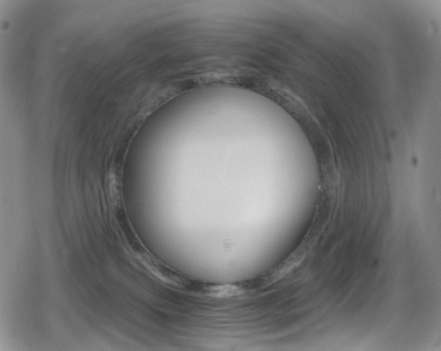 X0000080730087200612150914