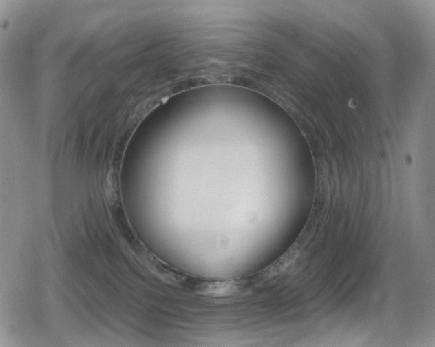 X0000080730088200612150914