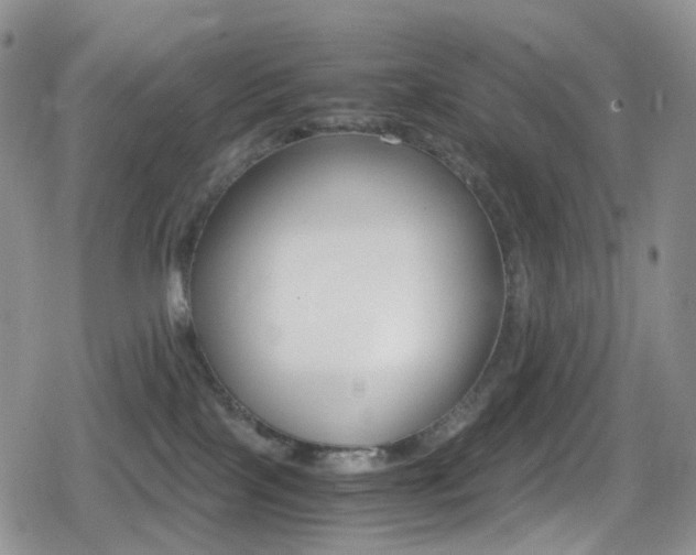 X0000080730089200612150914