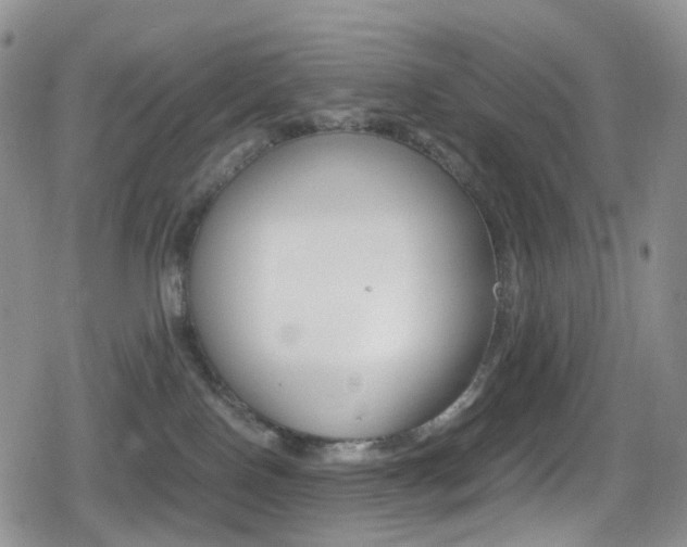 X0000080730090200612150914