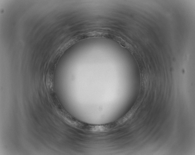 X0000080730091200612150914