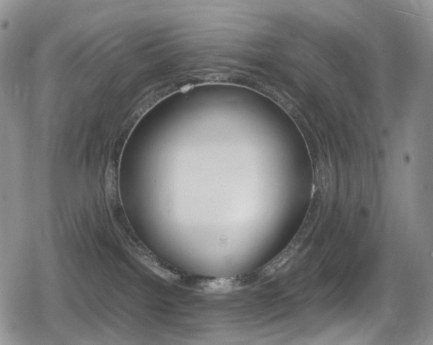 X0000080730092200612150914