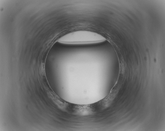 X0000080730093200612150914