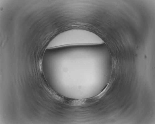 X0000080730094200612150914