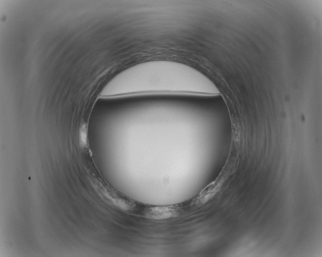 X0000080730095200612150914