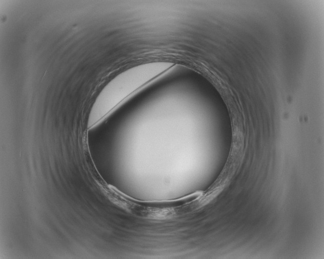 X0000080730096200612150914