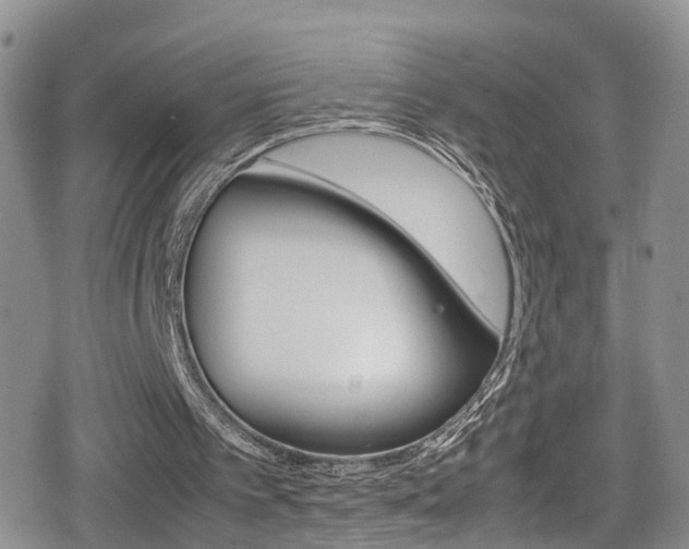 X0000080730097200612150913