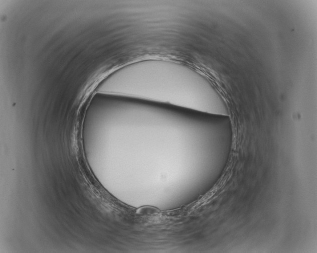 X0000080730098200612150913