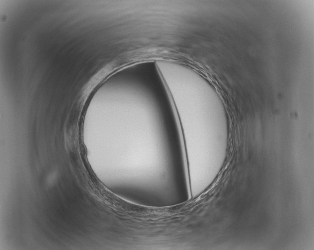 X0000080730099200612150913