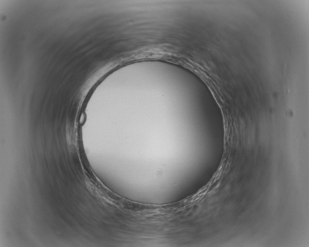 X0000080730100200612150913