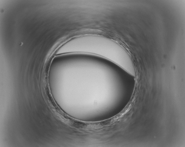 X0000080730101200612150913