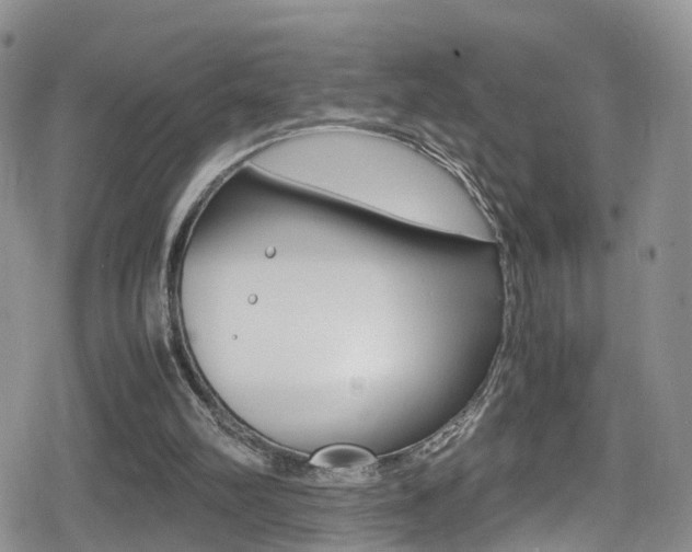 X0000080730102200612150913