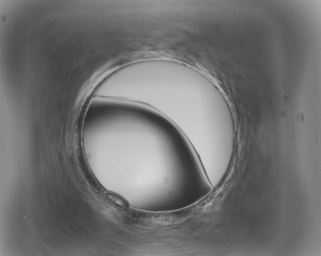 X0000080730103200612150913