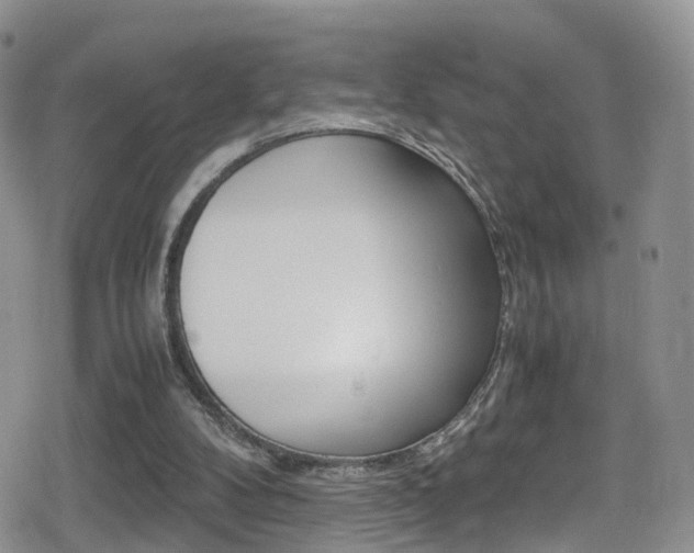 X0000080730104200612150913