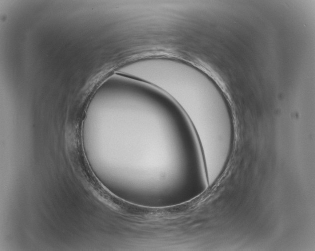 X0000080730105200612150913