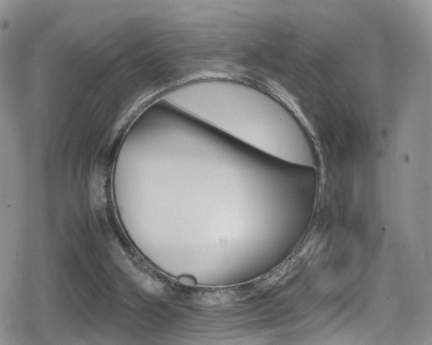 X0000080730106200612150913