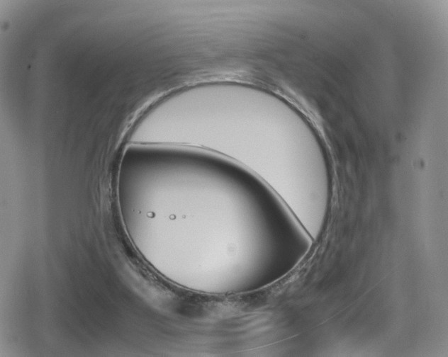 X0000080730107200612150913