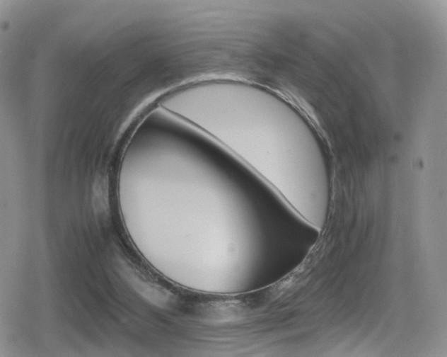 X0000080730108200612150913