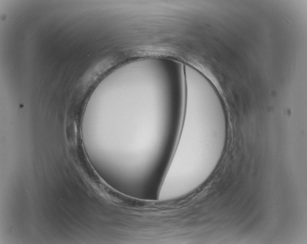 X0000080730109200612150913