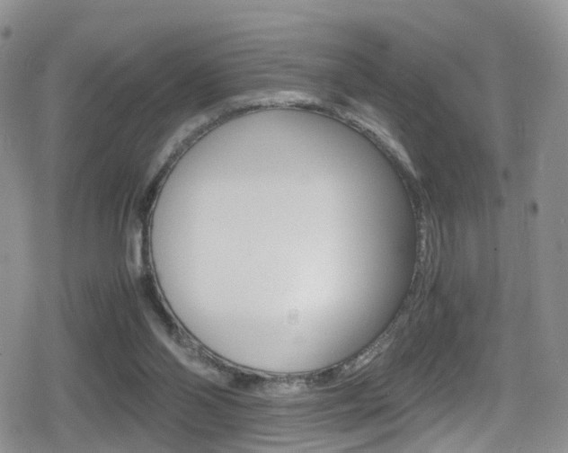 X0000080730110200612150913