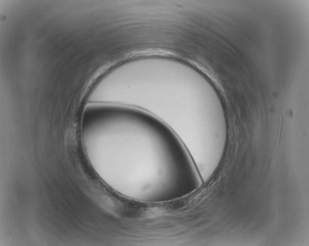 X0000080730111200612150913