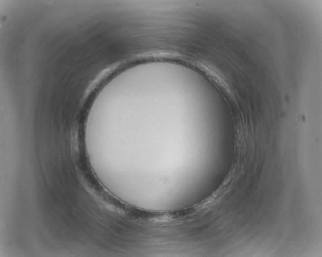 X0000080730112200612150913