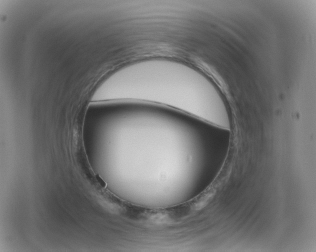 X0000080730113200612150913