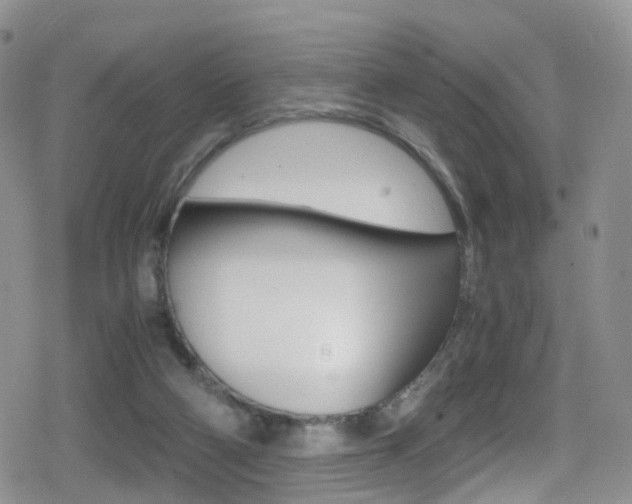 X0000080730114200612150913