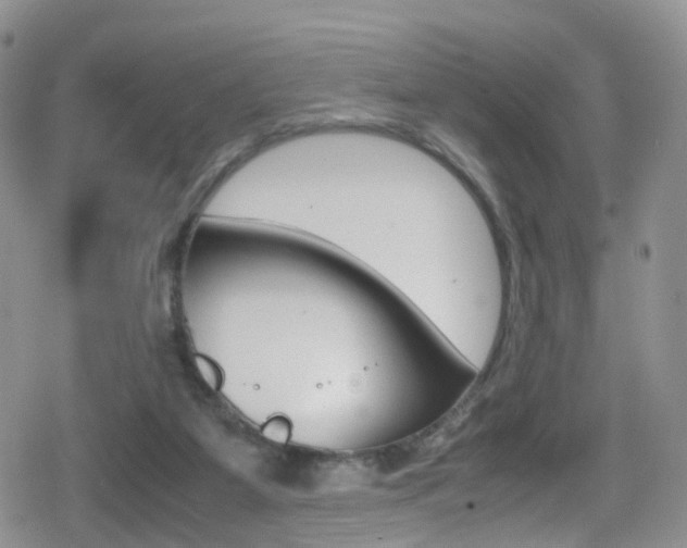 X0000080730115200612150913