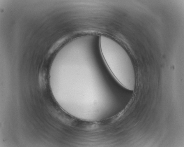 X0000080730116200612150913