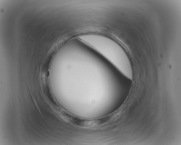 X0000080730117200612150913