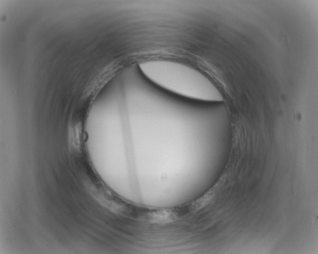 X0000080730118200612150913