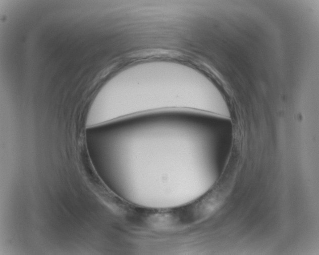 X0000080730119200612150913