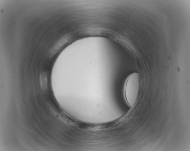 X0000080730120200612150913