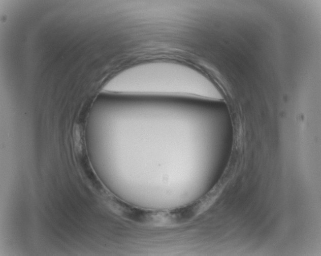 X0000080730121200612150913