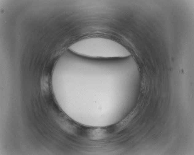 X0000080730122200612150913