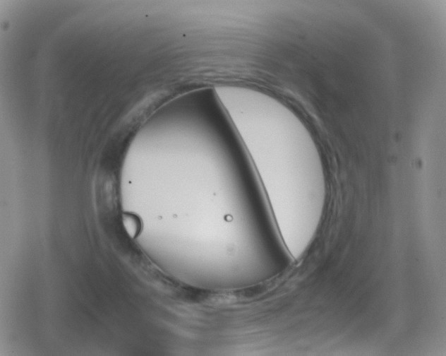 X0000080730123200612150913