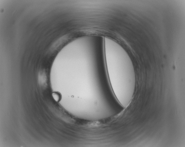 X0000080730124200612150913