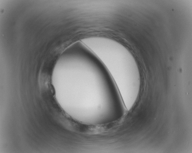 X0000080730125200612150913