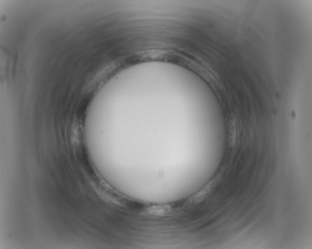 X0000080730126200612150913