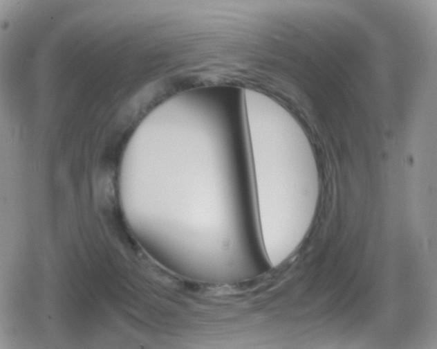 X0000080730127200612150913