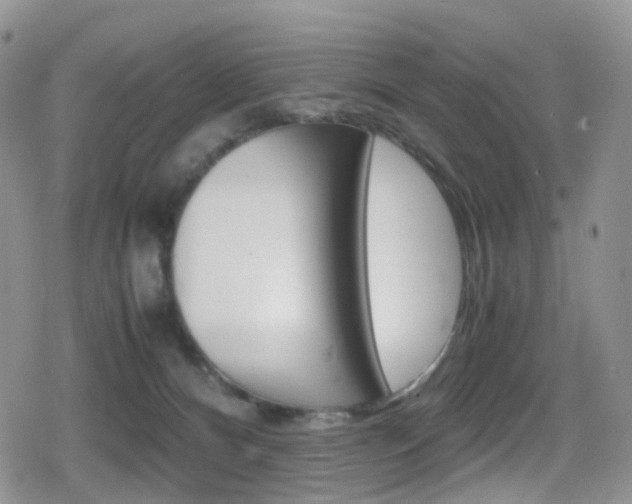 X0000080730128200612150913