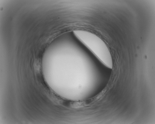 X0000080730129200612150913