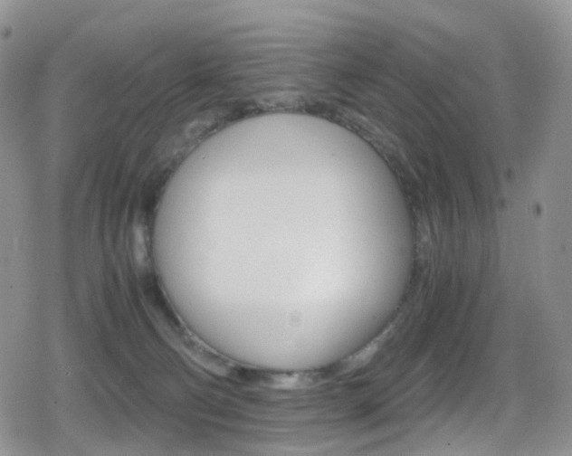 X0000080730130200612150913