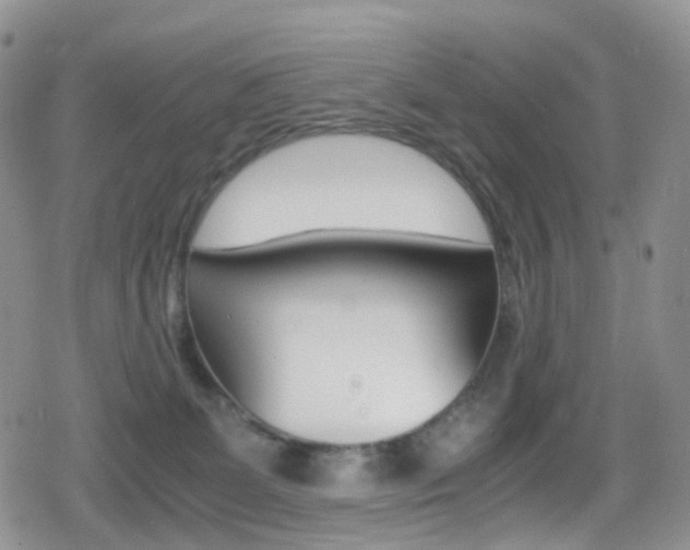 X0000080730131200612150913