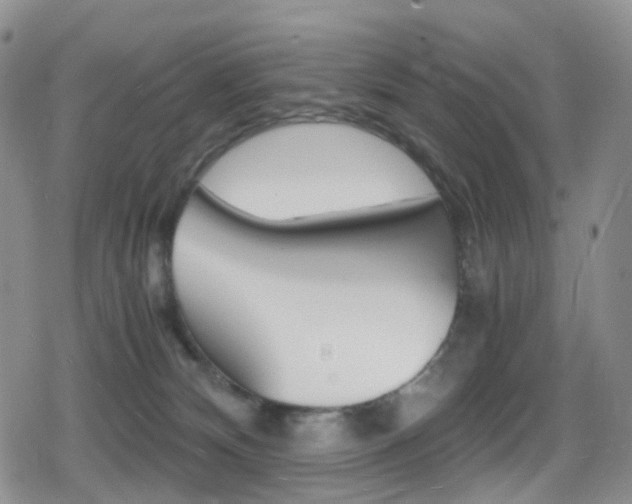 X0000080730132200612150913