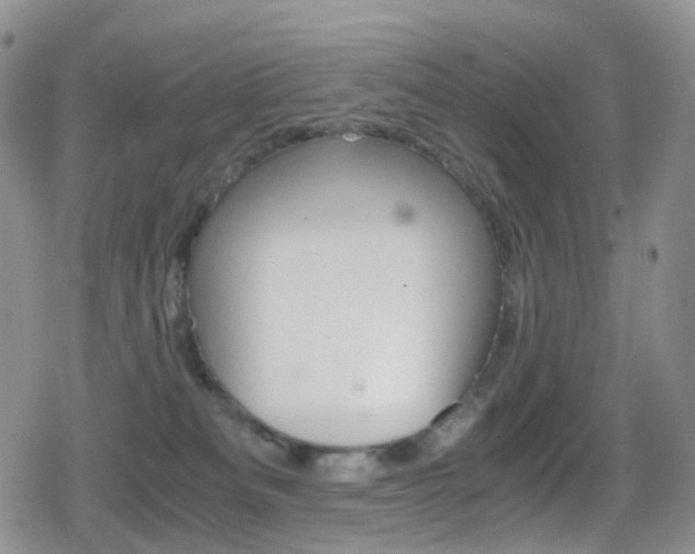 X0000080730133200612150913