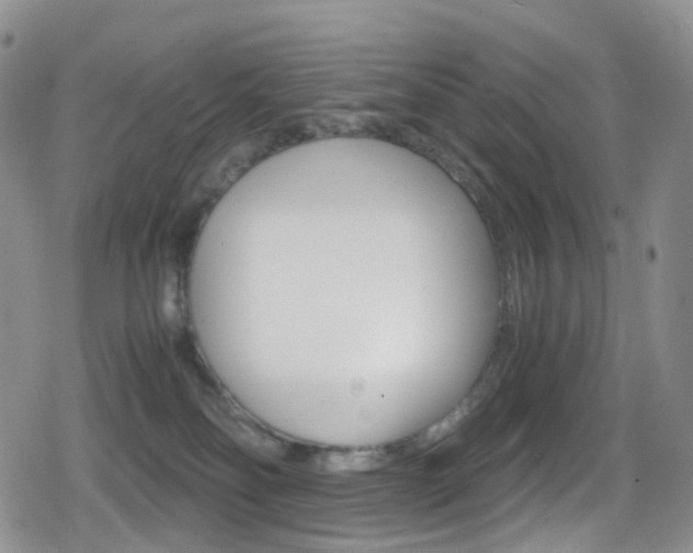 X0000080730134200612150913