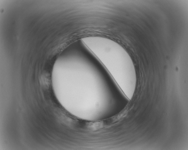 X0000080730135200612150913